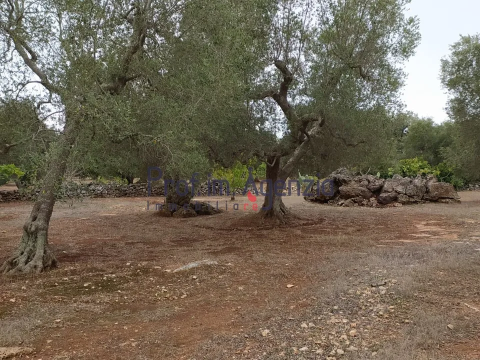 Landejendom i Ceglie Messapica, Brindisi - foto 5